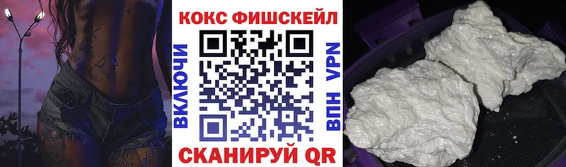 купить закладку  Катайск  Cocaine Эквадор 