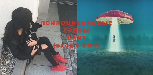 круглые Алзамай