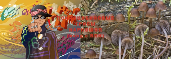 круглые Алзамай