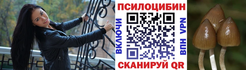 omg ССЫЛКА  Катайск  Галлюциногенные грибы прущие грибы 